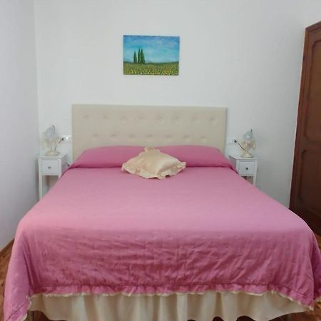 Dalla Carla In Toscana Monte San Savino Extérieur photo